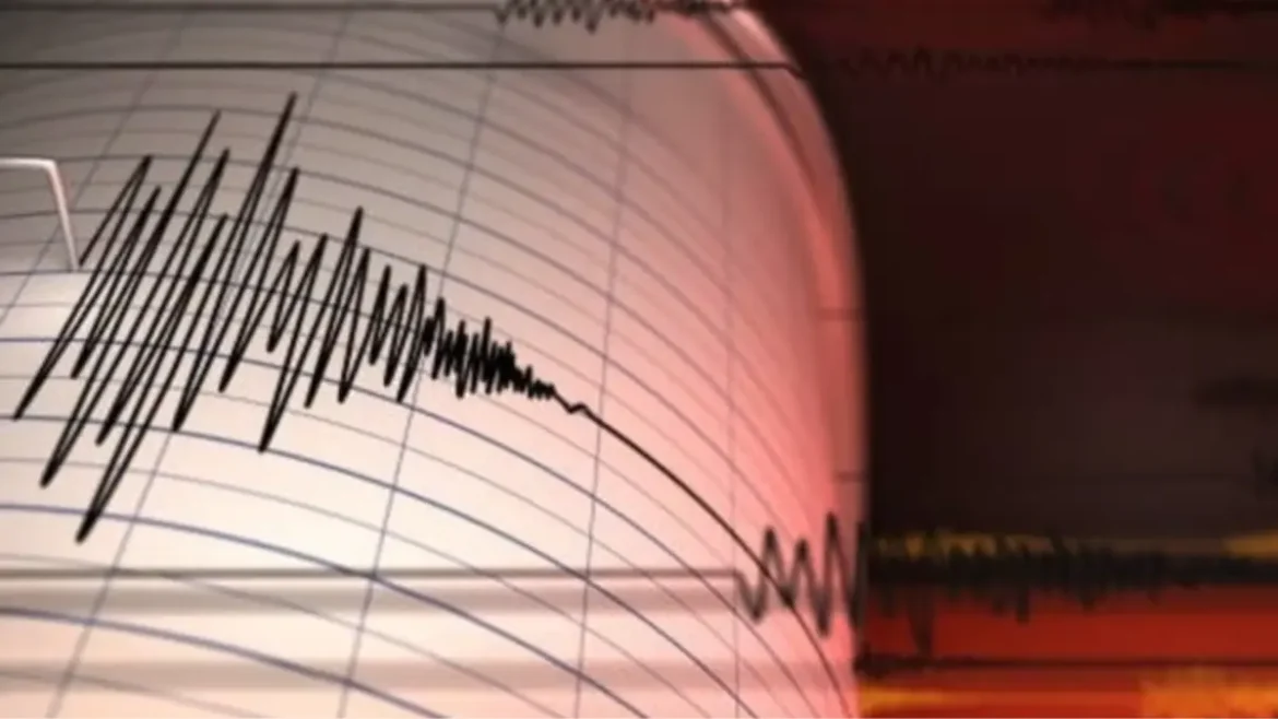 Delhi and North India's frequent earthquakes due to tectonic activity and seismic waves from the Indian Plate-Eurasian Plate collision.
