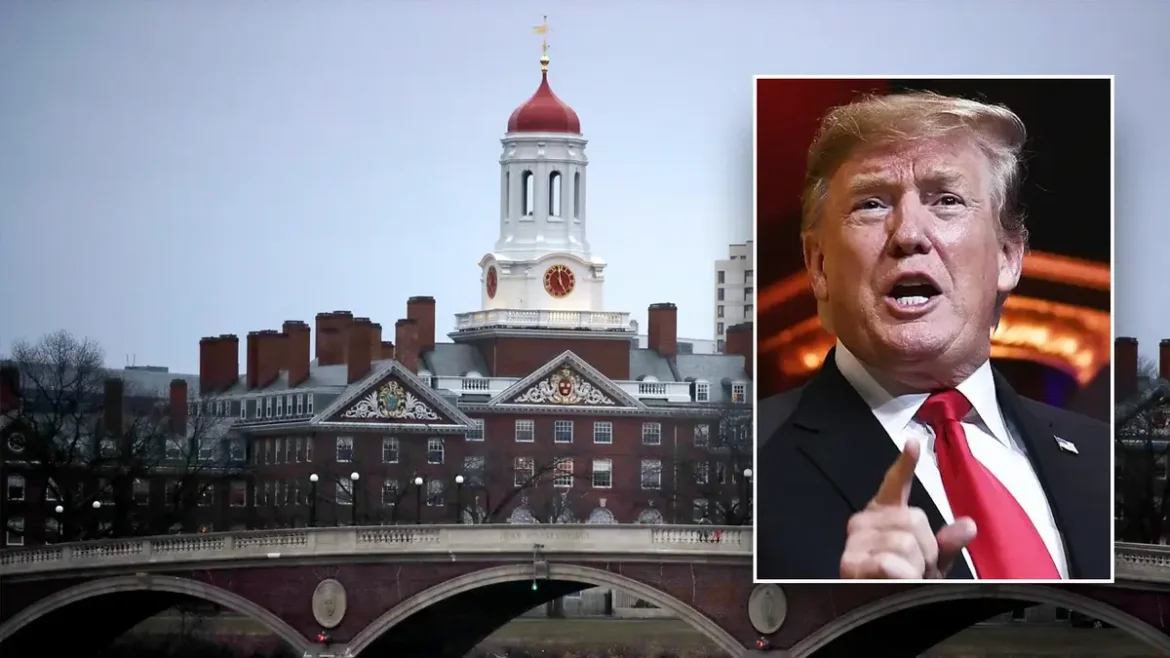 Harvard University campus affected by $2.2B federal funding freeze by Trump administration amid nationwide Ivy League policy crackdown.